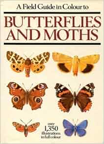 manitoba moths a field guide