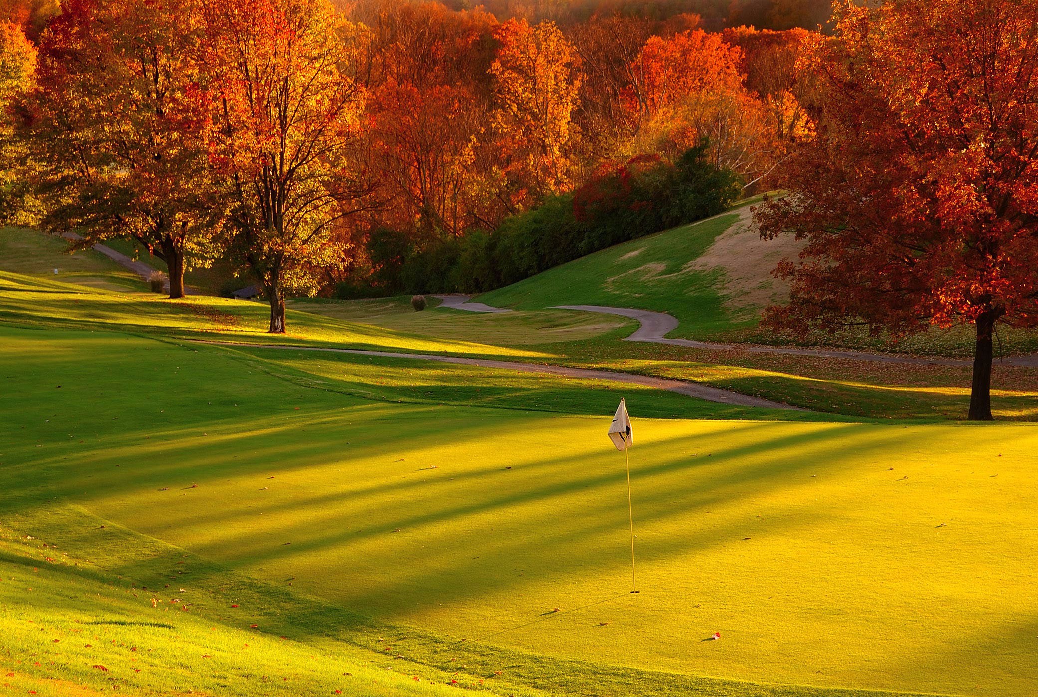 revenue canada duty guide golf club