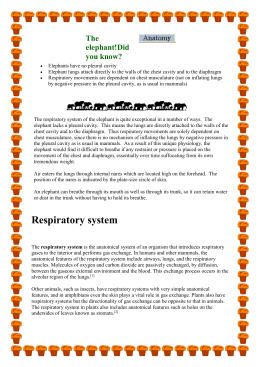 biology 20 respiratory system review guide answers