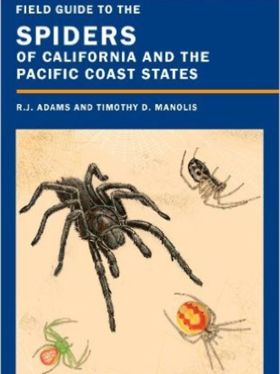 field guide to spiders of north america