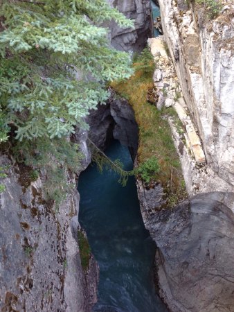 kootenay national park guided hikes